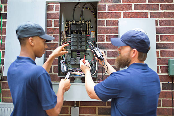 Best Electrical Panel Upgrades  in Lemont, IL